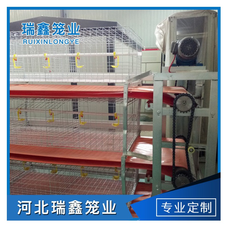 厂家批发 全自动肉鸡笼养殖 层叠笼养设备