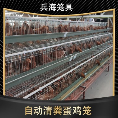 三层阶梯式蛋鸡笼输送带清粪省人工自动养殖设备养鸡设备自动化