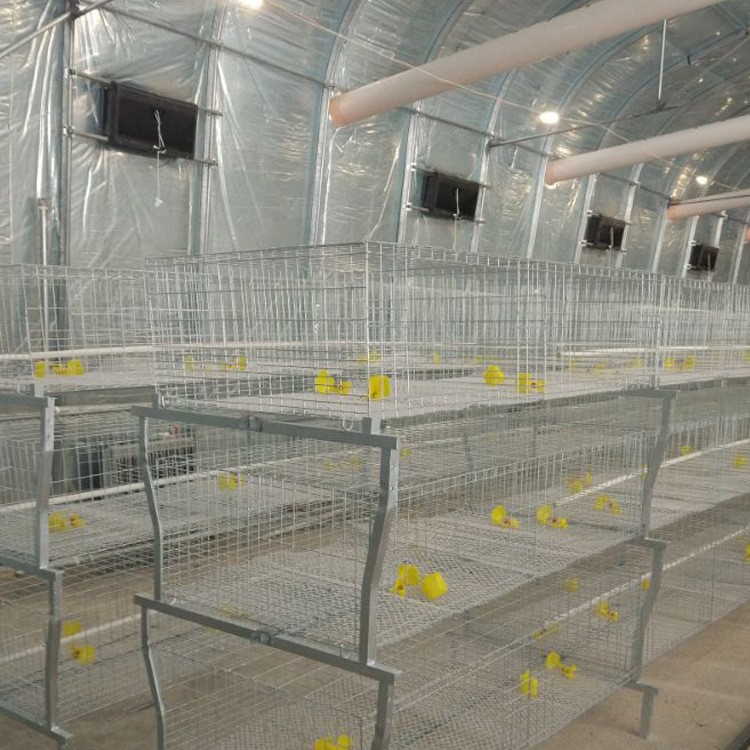 热镀锌肉鸡笼三层肉鸡笼高品质肉鸡笼使用寿命长热镀锌养殖设备图4