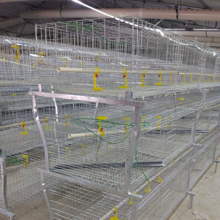 热镀锌肉鸡笼三层肉鸡笼高品质肉鸡笼使用寿命长热镀锌养殖设备图2