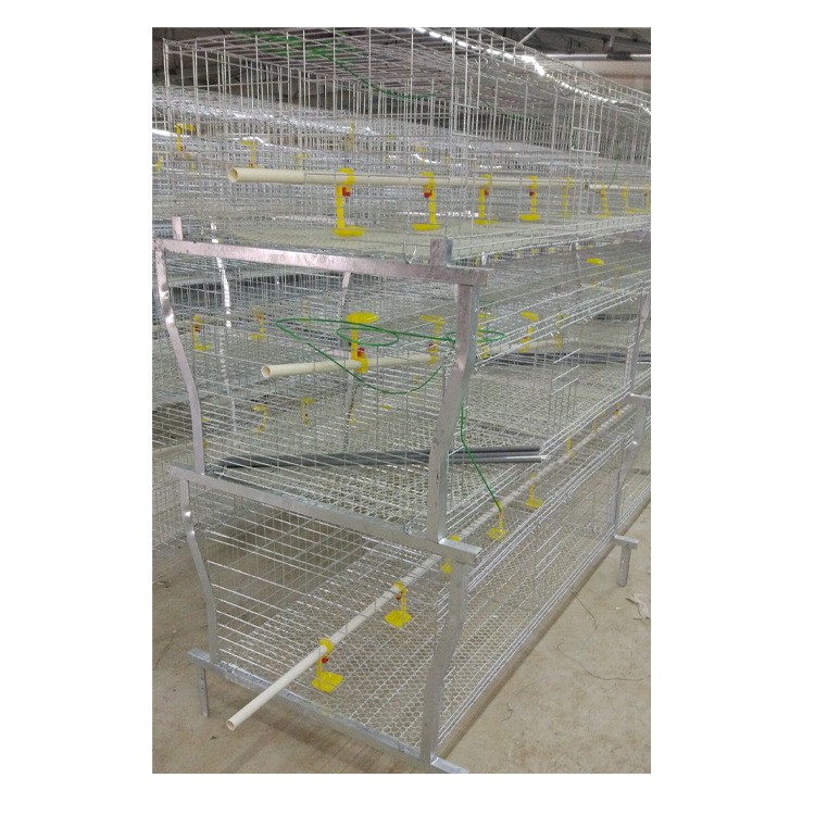 热镀锌肉鸡笼三层肉鸡笼高品质肉鸡笼使用寿命长热镀锌养殖设备图5