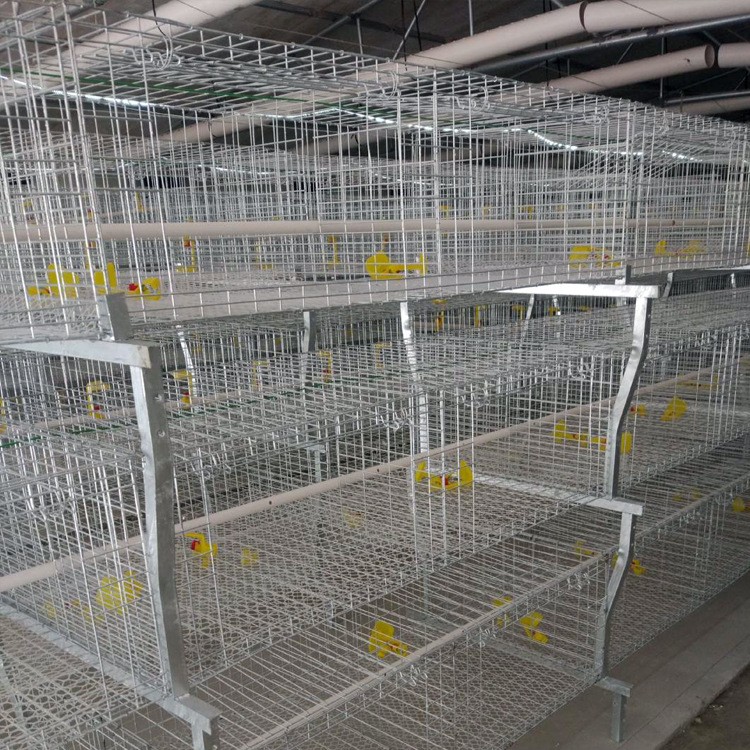 热镀锌肉鸡笼三层肉鸡笼高品质肉鸡笼使用寿命长热镀锌养殖设备图3