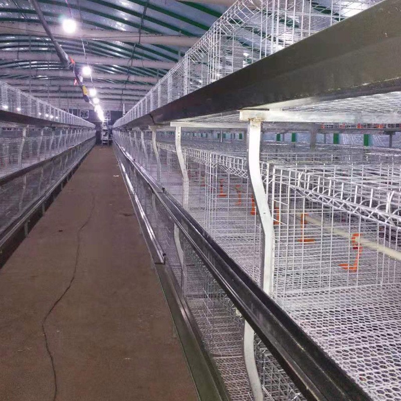 源头厂家直供半自动肉鸡笼镀锌肉鸡笼鸡笼子批发半自动化养殖设备图3