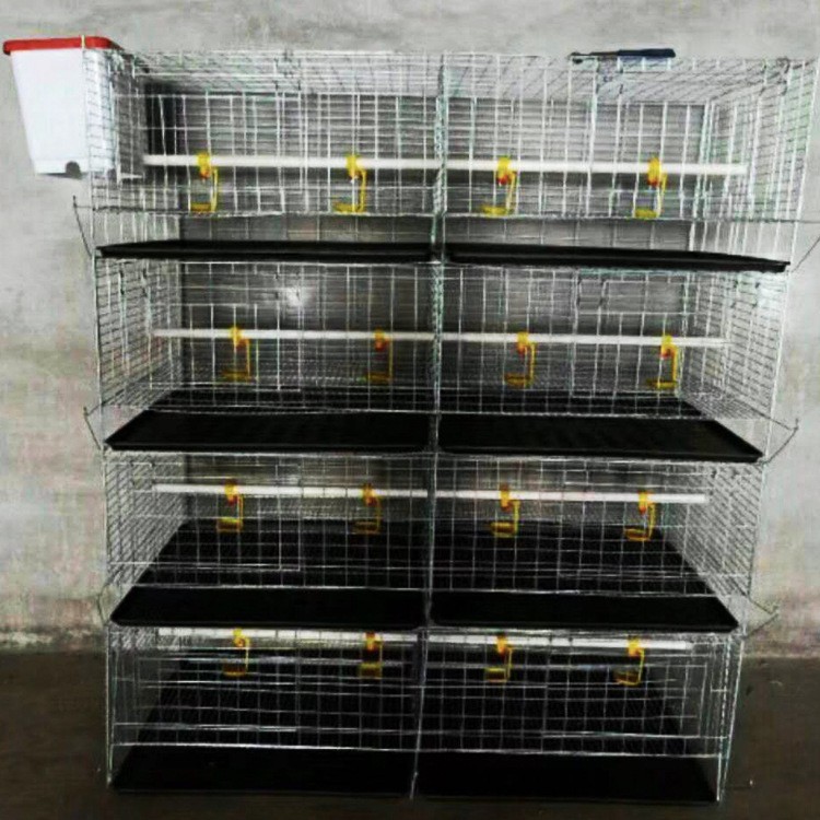 厂家供应鸡笼 四层立体式小鸡笼 鸡笼设备养殖鸡笼批发家禽养殖设图2