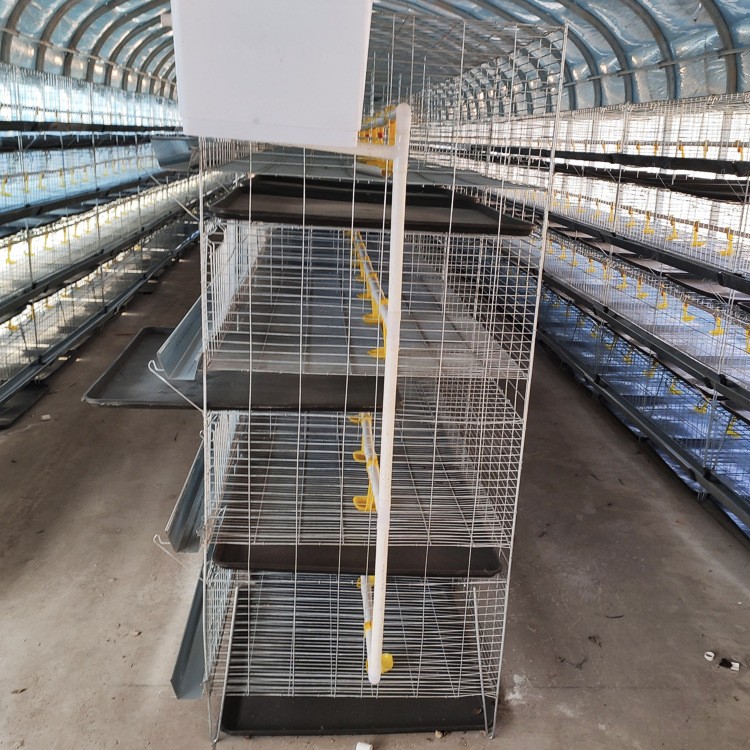 厂家供应鸡笼 四层立体式小鸡笼 鸡笼设备养殖鸡笼批发家禽养殖设图3