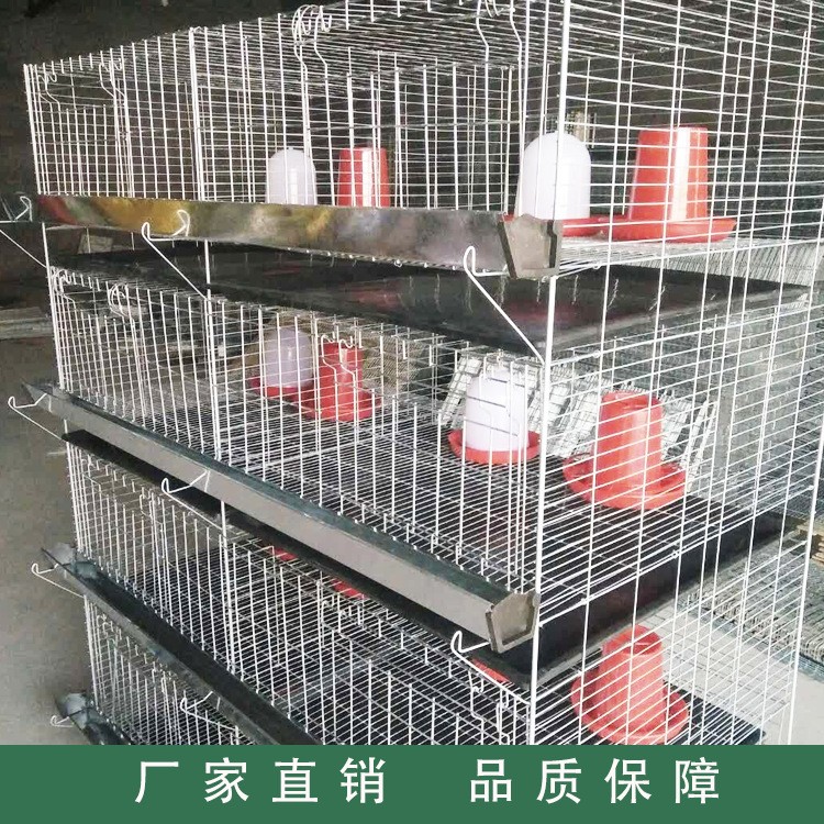 厂家供应鸡笼 四层立体式小鸡笼 鸡笼设备养殖鸡笼批发家禽养殖设
