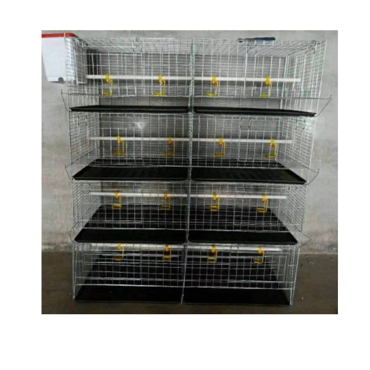 厂家供应鸡笼 四层立体式小鸡笼 鸡笼设备养殖鸡笼批发家禽养殖设图5