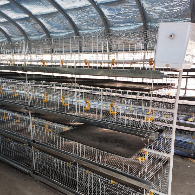 厂家供应鸡笼 四层立体式小鸡笼 鸡笼设备养殖鸡笼批发家禽养殖设图4