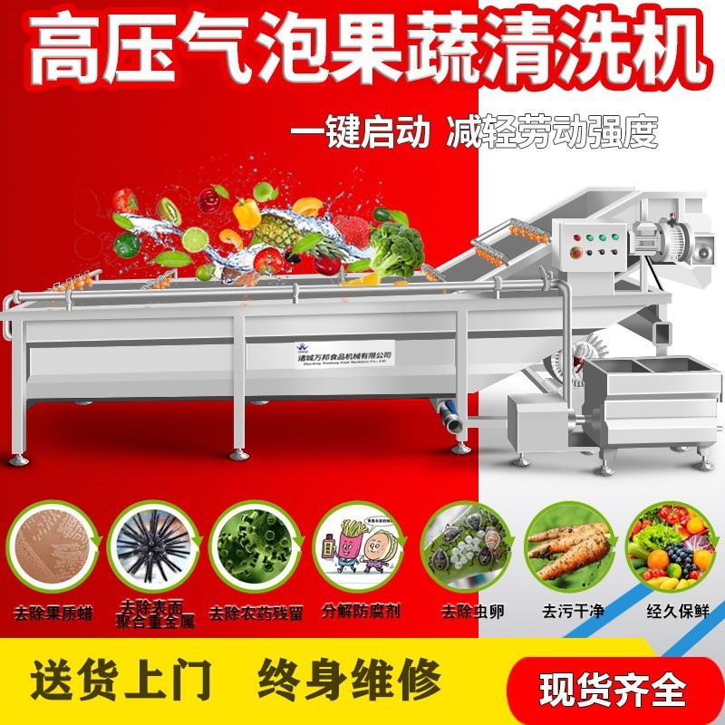 工厂销售木耳浸泡清洗机 商用菌菇清洗机 气泡喷淋清洗成套设备图2