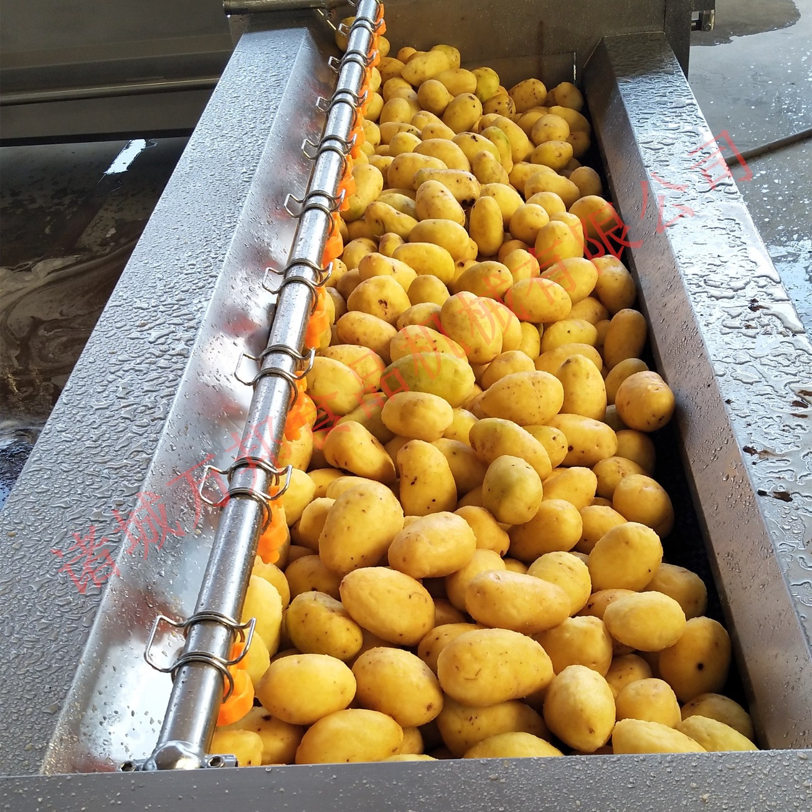 现货大姜去皮机 商用土豆去皮机 全自动中央厨房蔬菜加工流水线图4