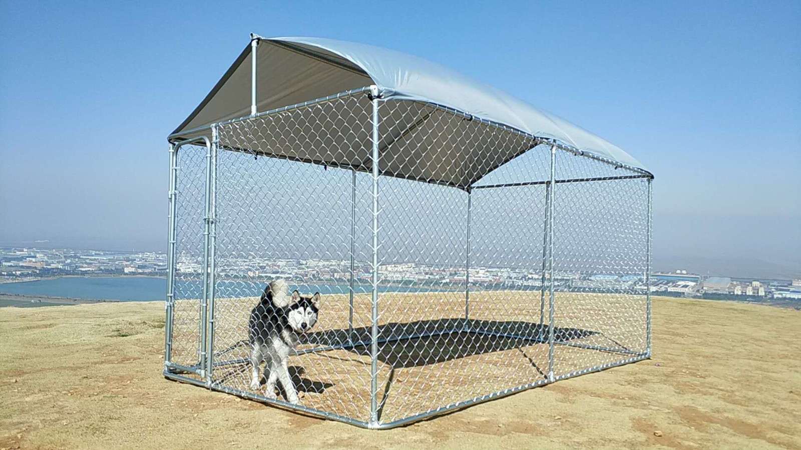 户外大型狗跑笼鸡笼镀锌管电商（dog run cage kennel）图5