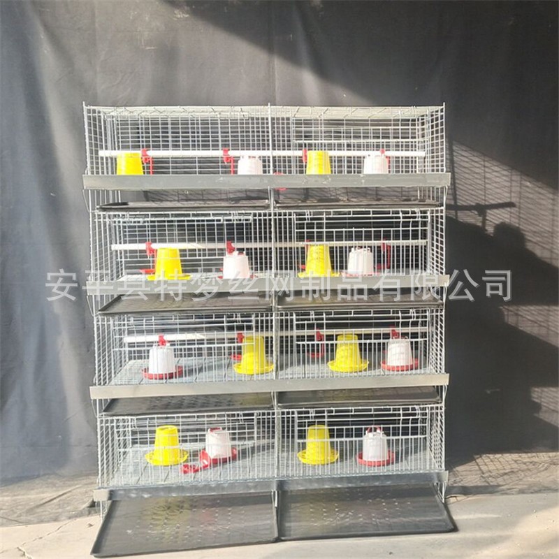雏鸡笼 加粗加密弹簧门育雏笼 养殖小鸡笼 四层8门立式小鸡笼图2