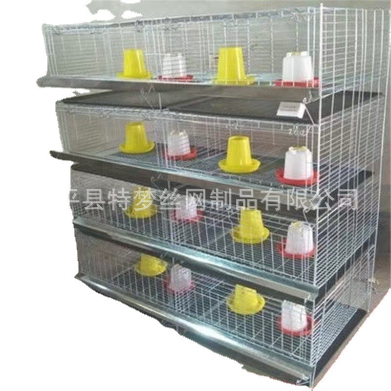雏鸡笼育雏笼 小鸡笼 加粗加密弹簧门雏鸡笼 养殖小鸡笼图3