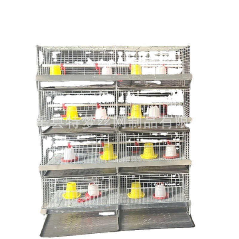 雏鸡笼育雏笼 小鸡笼 加粗加密弹簧门雏鸡笼 养殖小鸡笼图5