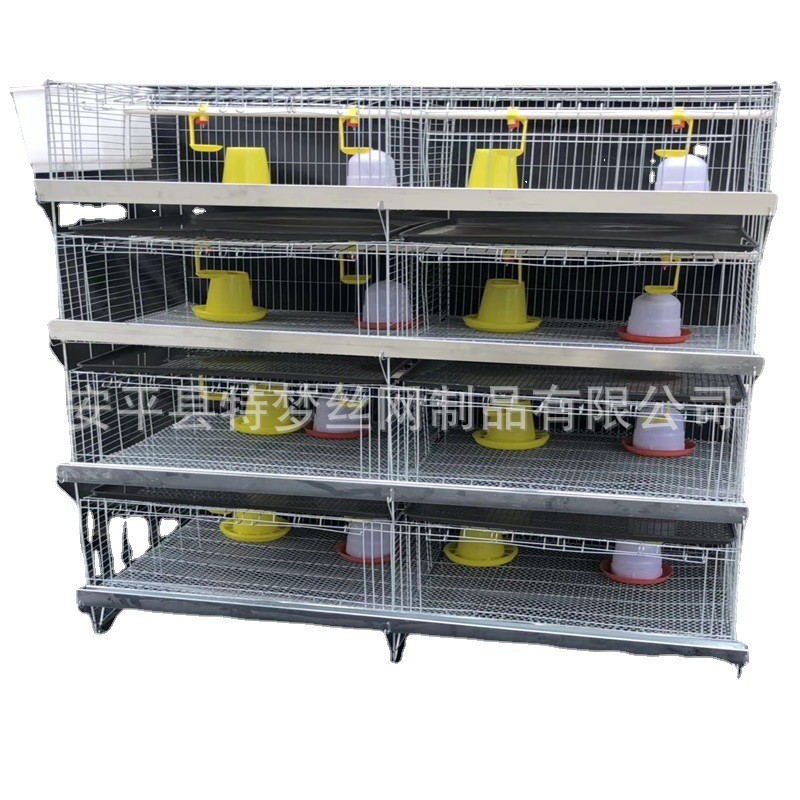 雏鸡笼育雏笼 小鸡笼 加粗加密弹簧门雏鸡笼 养殖小鸡笼图4