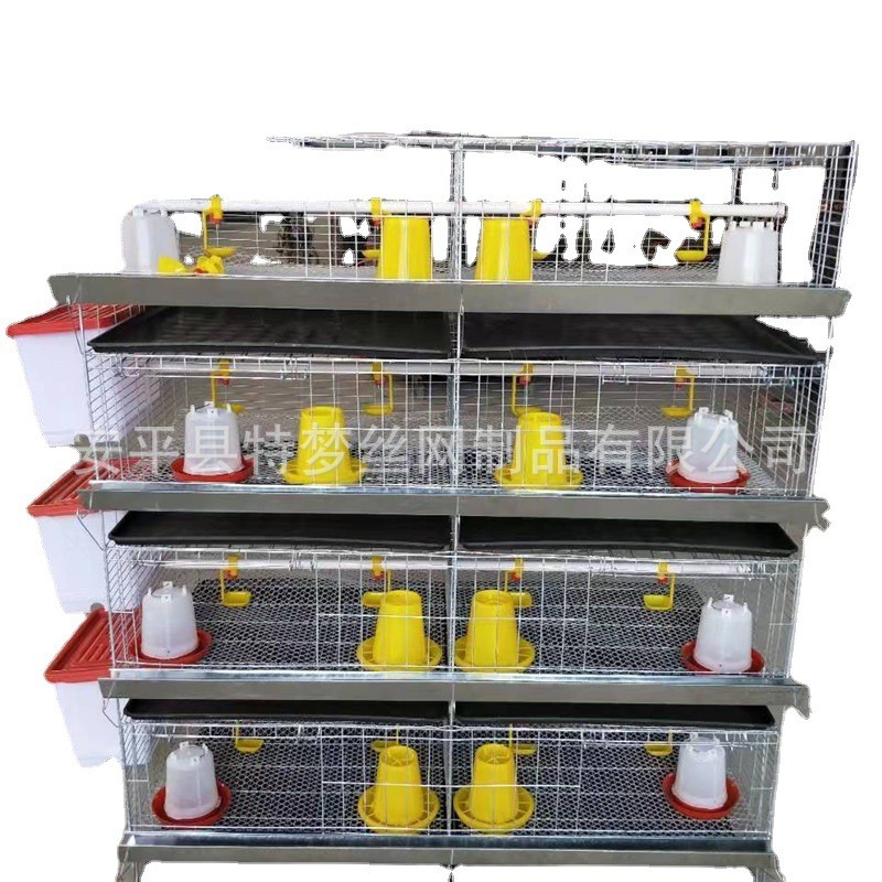 雏鸡笼 加粗加密弹簧门育雏笼 养殖小鸡笼 四层8门立式小鸡笼图4