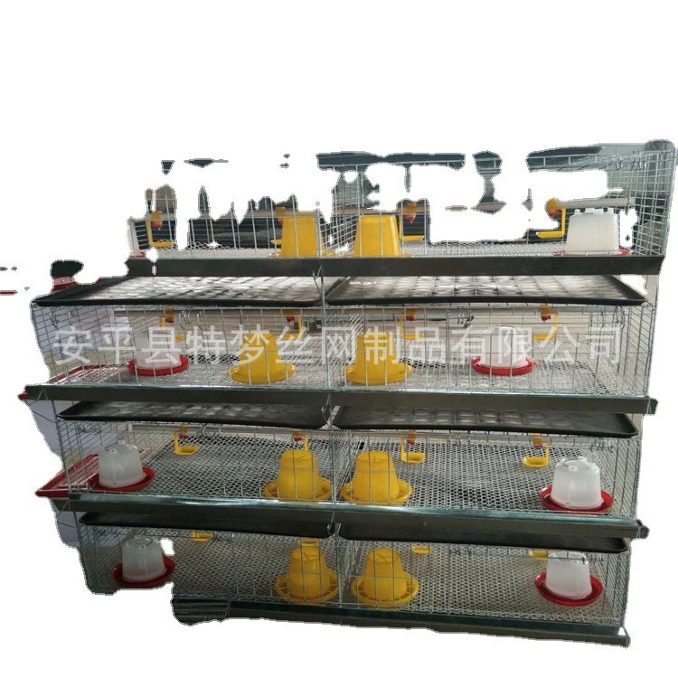 雏鸡笼 加粗加密弹簧门育雏笼 养殖小鸡笼 四层8门立式小鸡笼图5