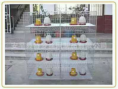 mmexport1445503431105