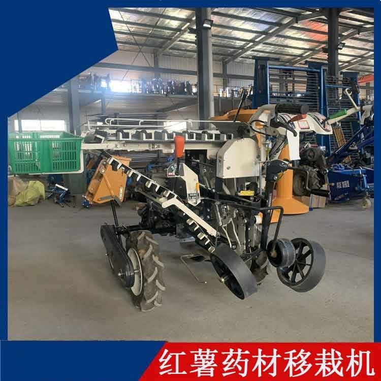 厂家直供地瓜红薯移栽机 蔬菜药材多功能种植机 秧苗栽植机图4