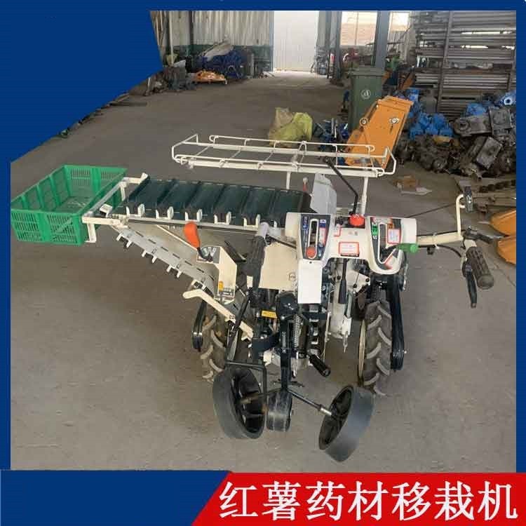 厂家直供地瓜红薯移栽机 蔬菜药材多功能种植机 秧苗栽植机图2