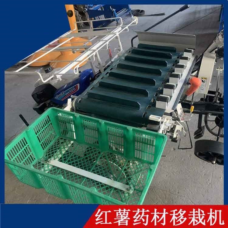 厂家直供地瓜红薯移栽机 蔬菜药材多功能种植机 秧苗栽植机图5