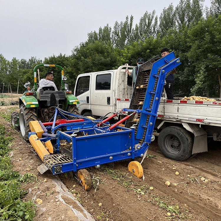 土豆收获上车机 红薯地瓜收获装车机 上车动刀马铃薯联合收获机图3