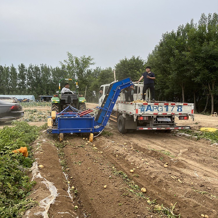 土豆收获上车机 红薯地瓜收获装车机 上车动刀马铃薯联合收获机图4