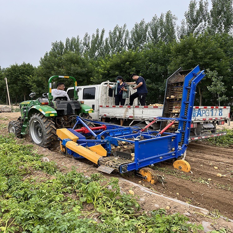 土豆收获上车机 红薯地瓜收获装车机 上车动刀马铃薯联合收获机图5