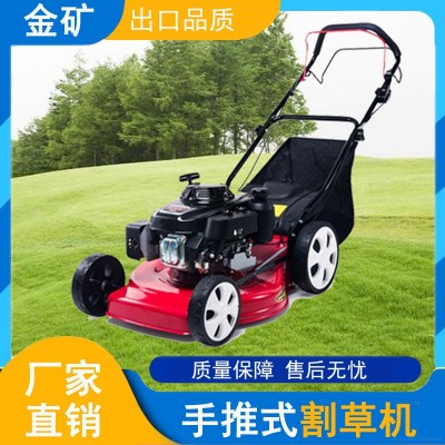 果园牧场草场庄园草坪机 绿化自走式高草割草机 手推剪草机