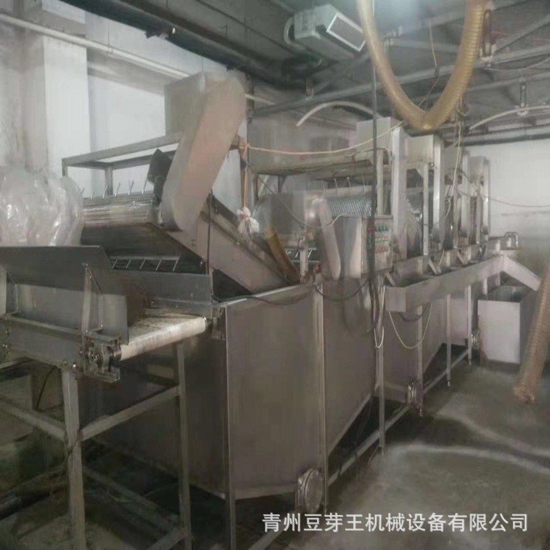 全自动豆芽清洗机 商用绿豆芽清洗机 源头工厂大型绿豆芽清洗设备图3