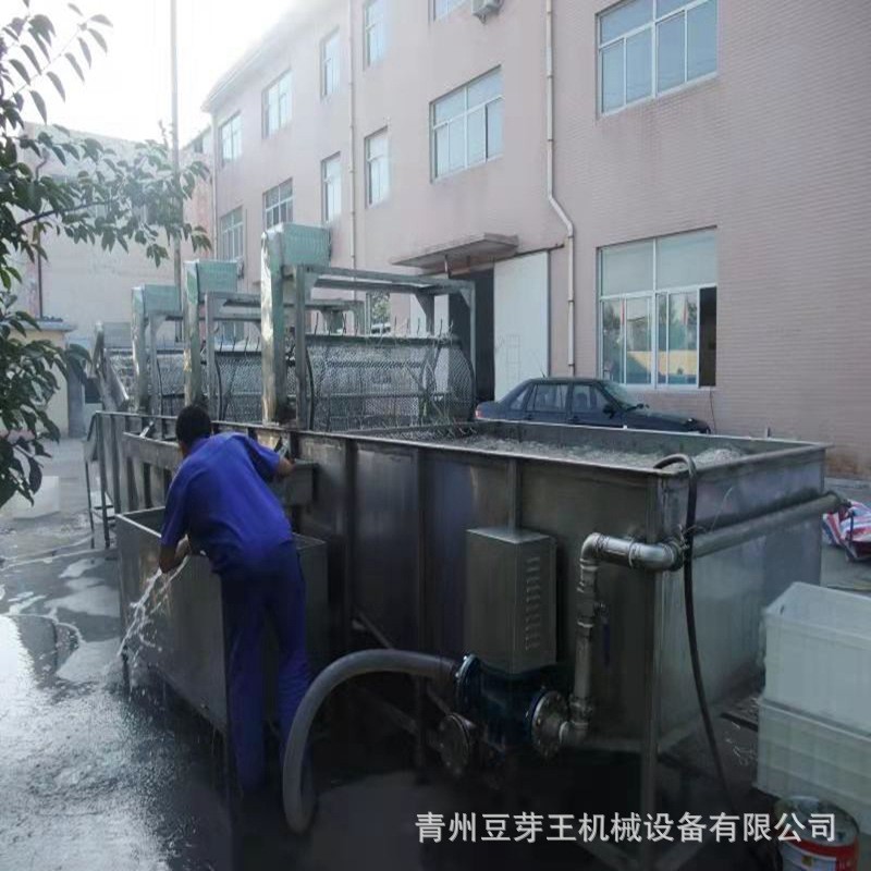 省人工豆芽清洗机 绿豆芽加工设备清洗机 绿豆芽清洗生产流水线图3