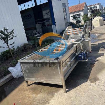 果蔬气泡清洗机 多功能蔬菜清洗机 小白菜喷淋式洗菜机