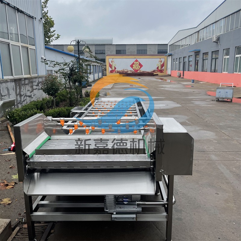 果蔬气泡清洗机 多功能蔬菜清洗机 小白菜喷淋式洗菜机图2