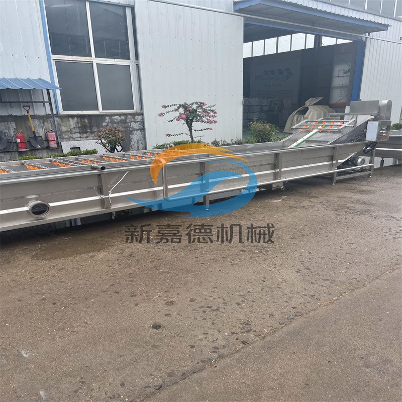 果蔬气泡清洗机 多功能蔬菜清洗机 小白菜喷淋式洗菜机图4