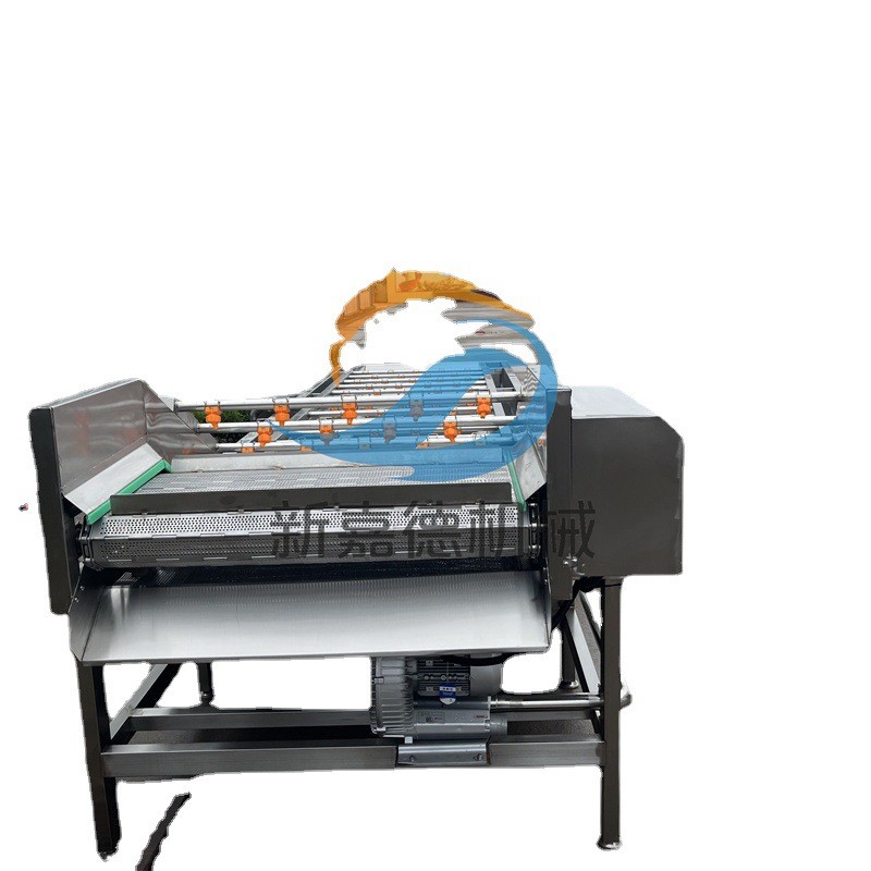 果蔬气泡清洗机 多功能蔬菜清洗机 小白菜喷淋式洗菜机图5