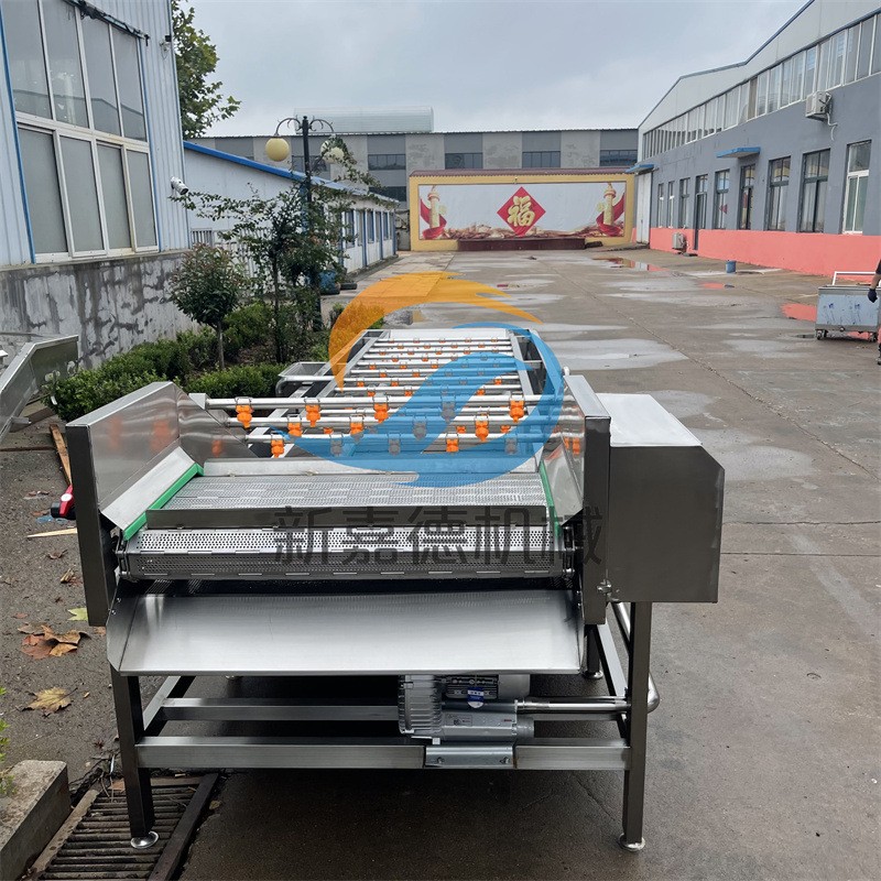 预制菜气泡清洗机 果蔬气泡清洗设备 小龙虾喷淋清洗流水线图2