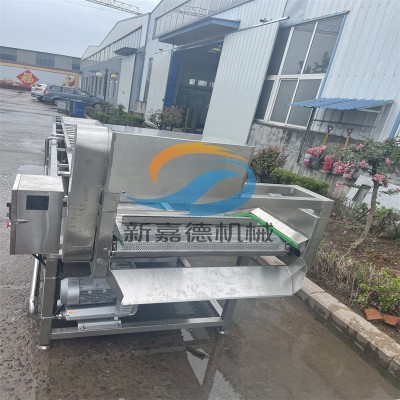 果蔬清洗机 嘉德直供预制菜清洗设备 喷淋式气泡清洗流水线