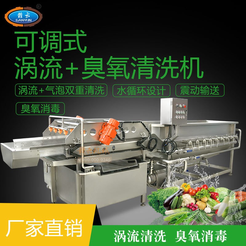 涡流震荡清洗机 全自动蔬菜清洗机 流水线洗菜机 臭氧气泡洗菜机