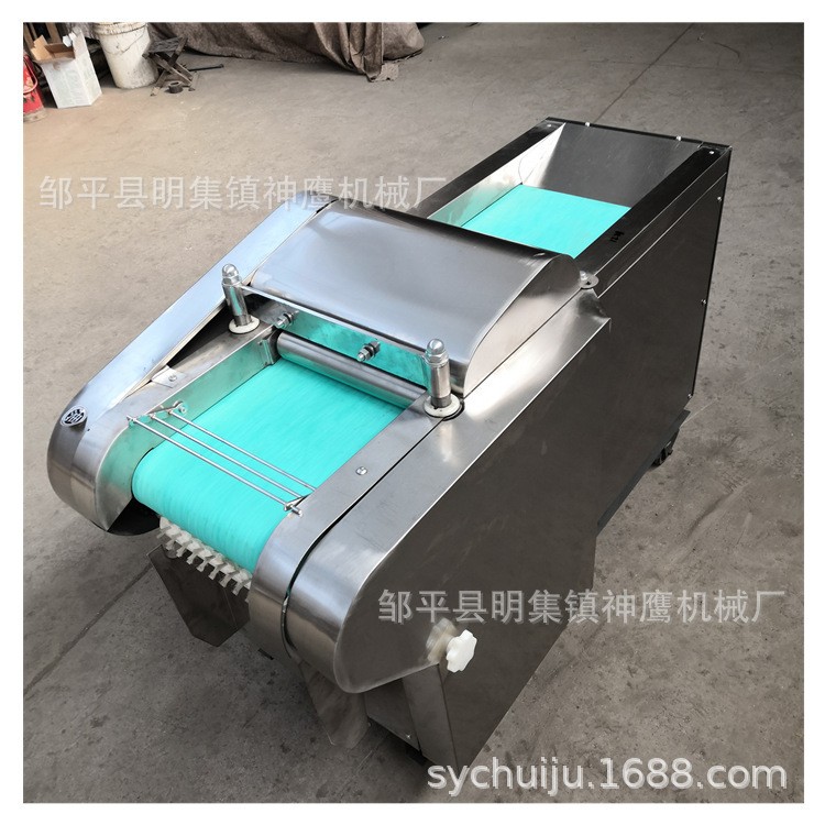 厂家直供小型电动切菜机 不锈钢切丝设备 大淄博网红切锅饼机图5