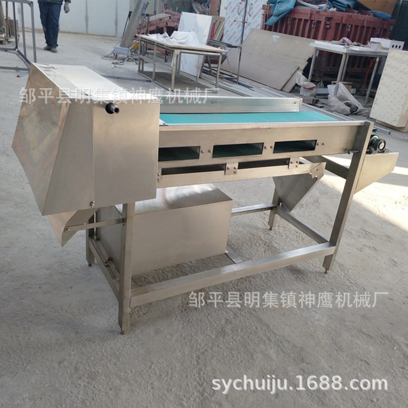 厂家直供商用蘑菇切片机 输送带式滚刀切菜机 蘑菇鲜海带切丝机图3