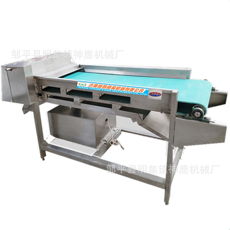 厂家直供商用蘑菇切片机 输送带式滚刀切菜机 蘑菇鲜海带切丝机图5