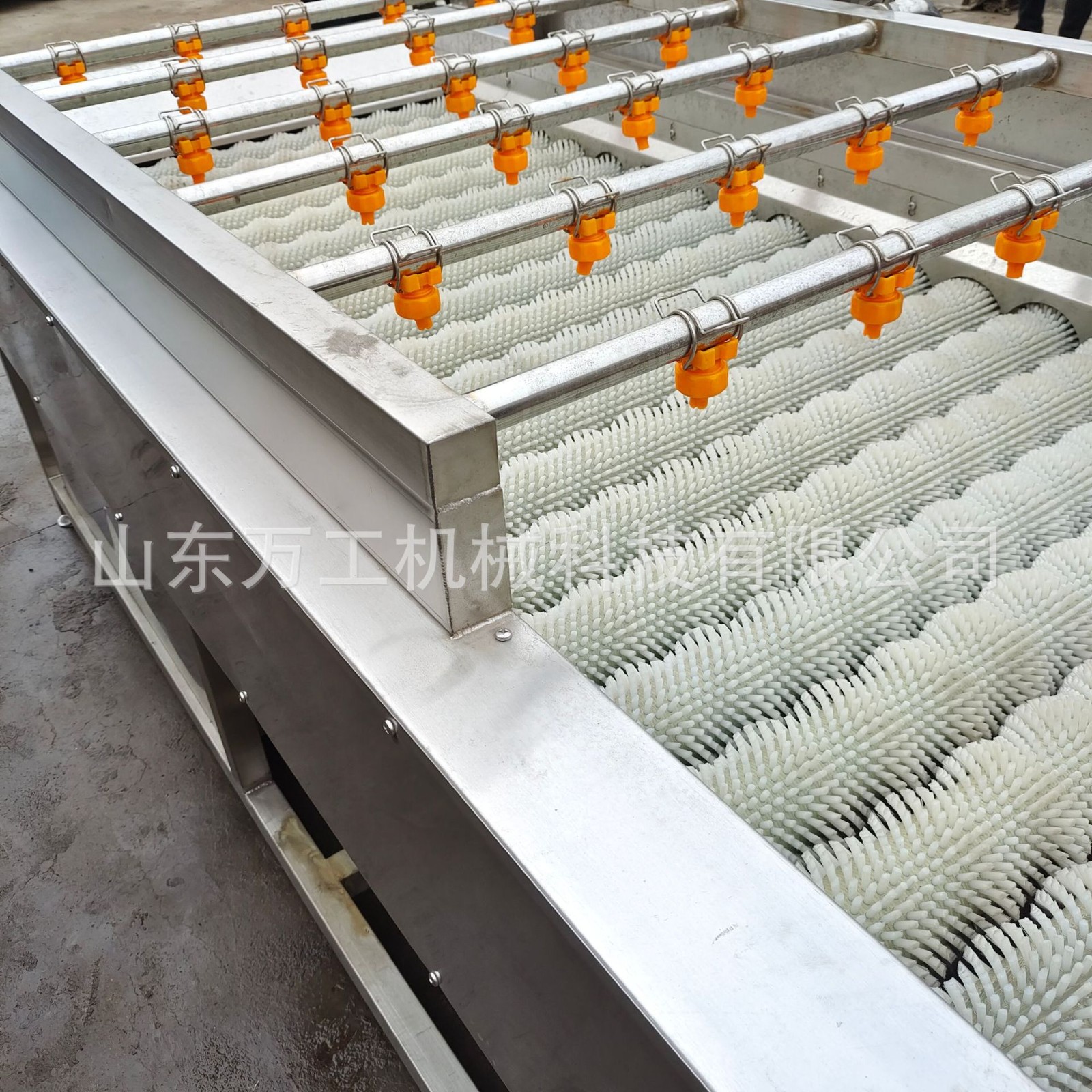 土豆紫薯红薯去皮清洗机全自动猪头猪蹄毛刷清洗设备海蛎子清洗线图2