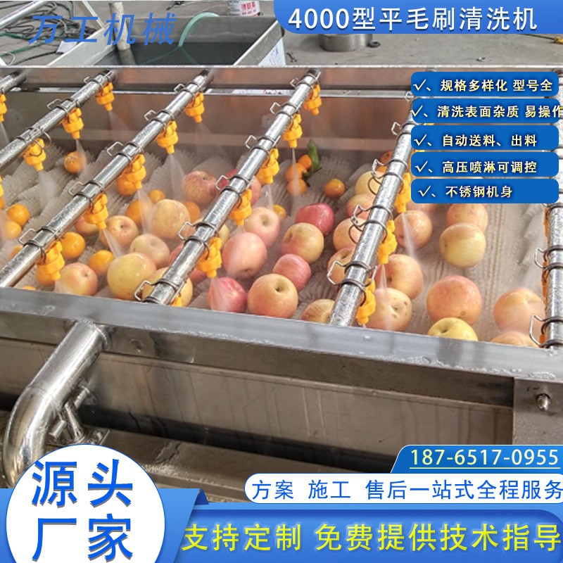 红薯毛辊清洗去皮机 马铃薯芋头削皮机清洗机 全自动毛辊去皮机