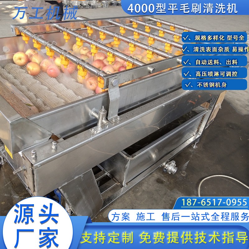 红薯毛辊清洗去皮机 马铃薯芋头削皮机清洗机 全自动毛辊去皮机图3