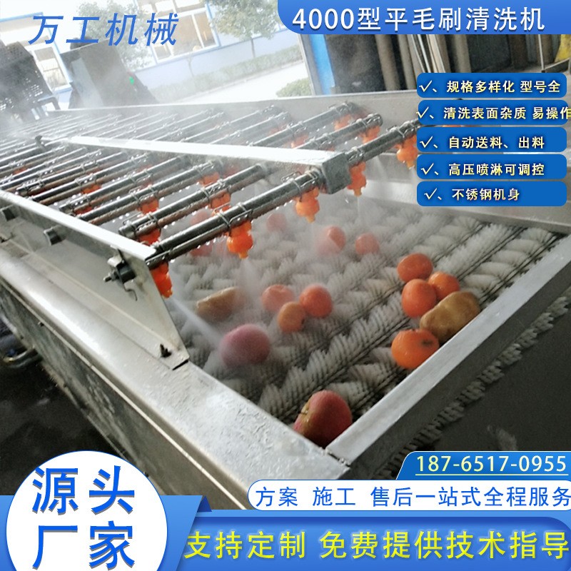 红薯毛辊清洗去皮机 马铃薯芋头削皮机清洗机 全自动毛辊去皮机图2