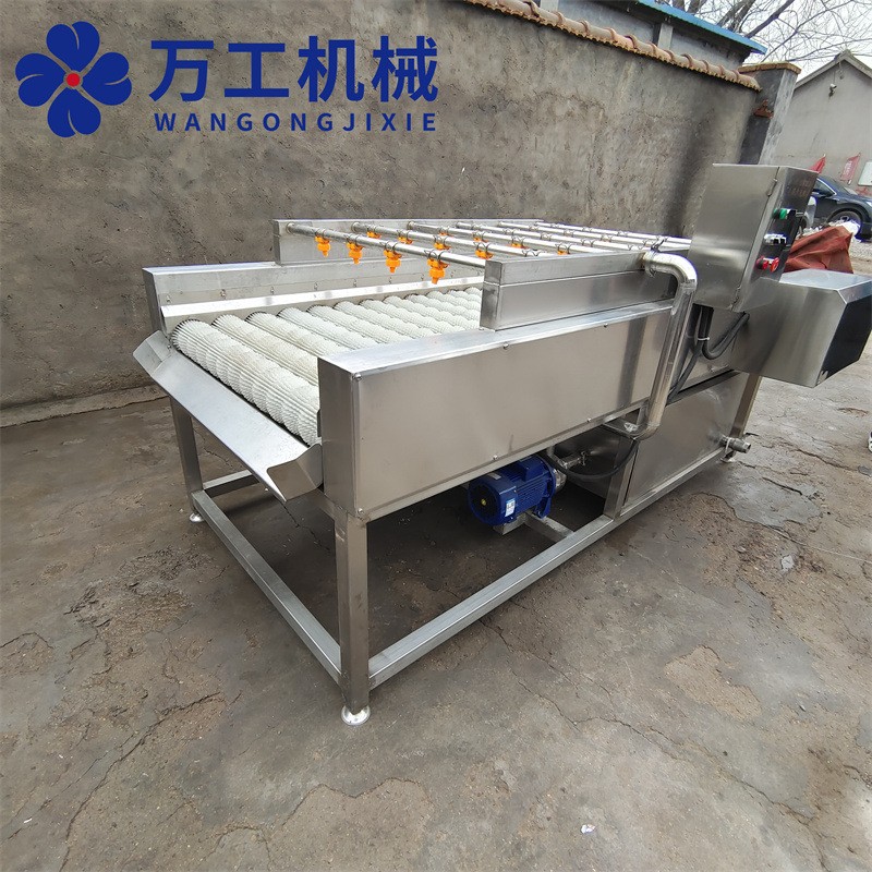 全自动平毛辊橘子苹果清洗设备 海产品清洗机 大姜清洗设备图2