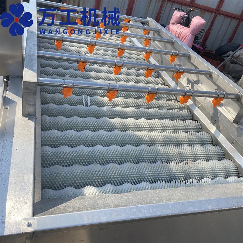 全自动平毛辊橘子苹果清洗设备 海产品清洗机 大姜清洗设备图4