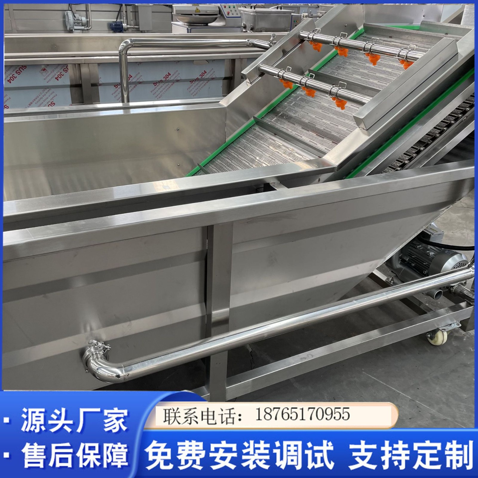 全自动化芸豆清洗设备 蒸汽芦笋气泡清洗设备 净菜果蔬清洗机