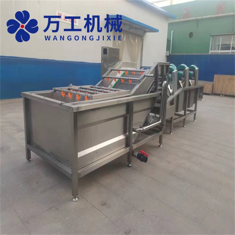 全自动化芸豆清洗设备 蒸汽芦笋气泡清洗设备 净菜果蔬清洗机图2