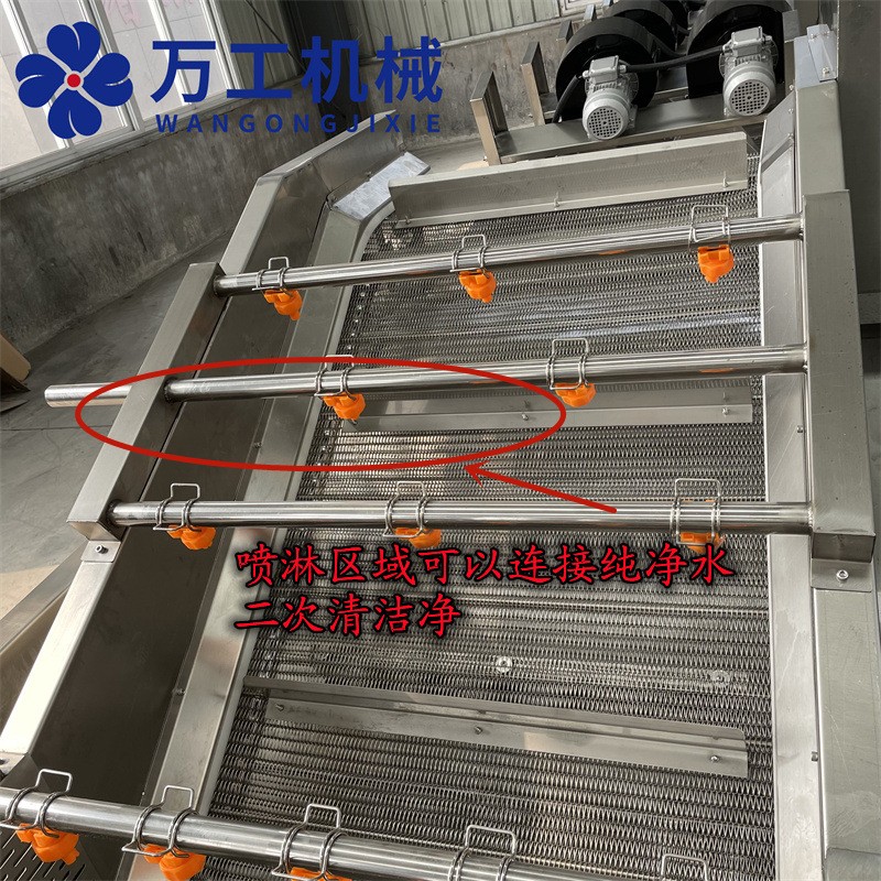 全自动化芸豆清洗设备 蒸汽芦笋气泡清洗设备 净菜果蔬清洗机图3